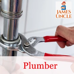 Plumber Mr. Biswanath Samanta in Sarsoona